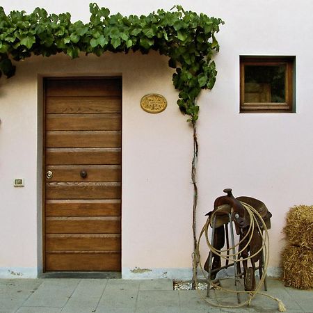 Appartamenti Agriturismo La Canonica Чертальдо Экстерьер фото